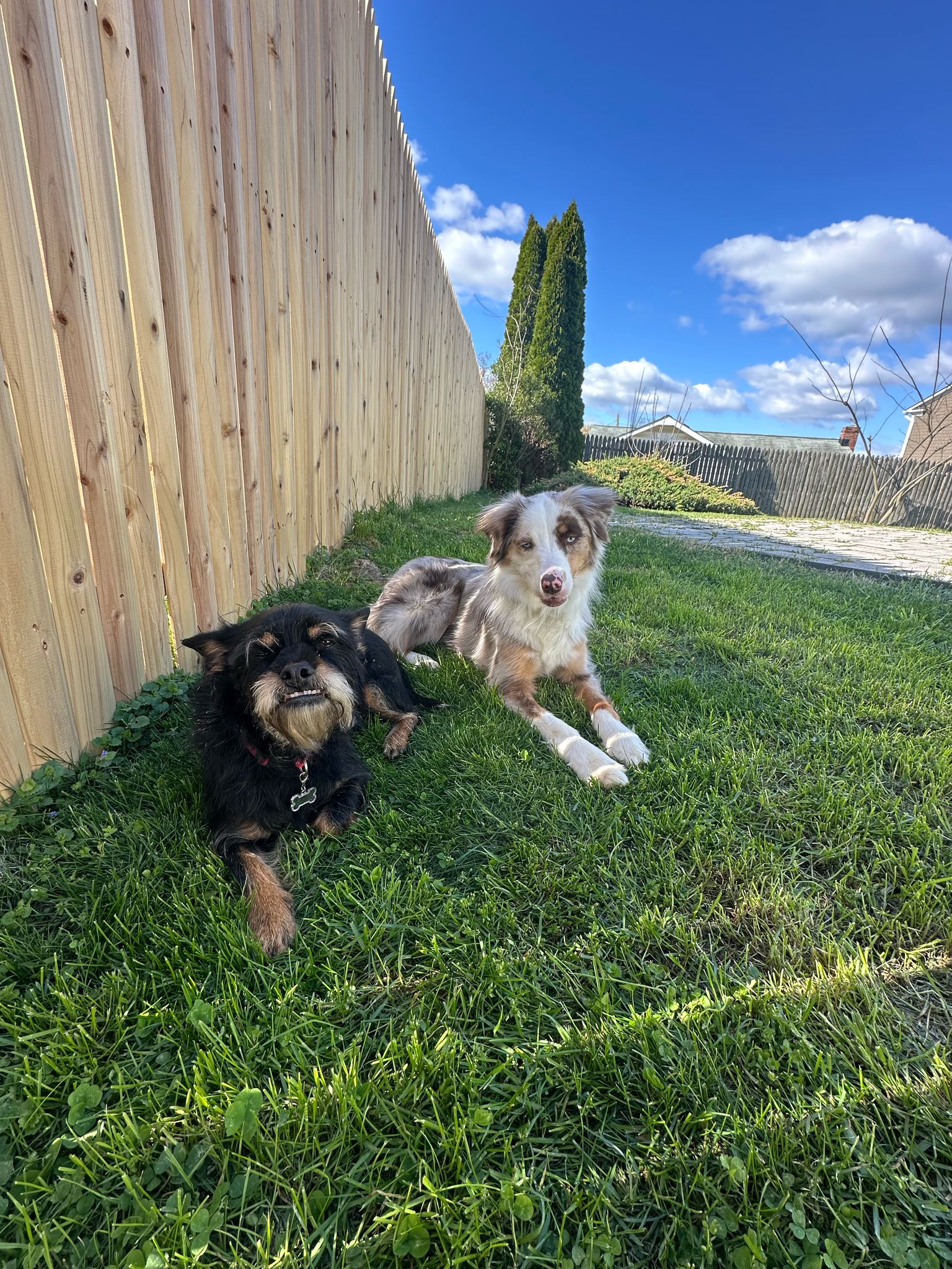 Privacy Fence Design Options in Cane Island, Fulshear TX